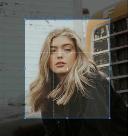 Free Image Cropper